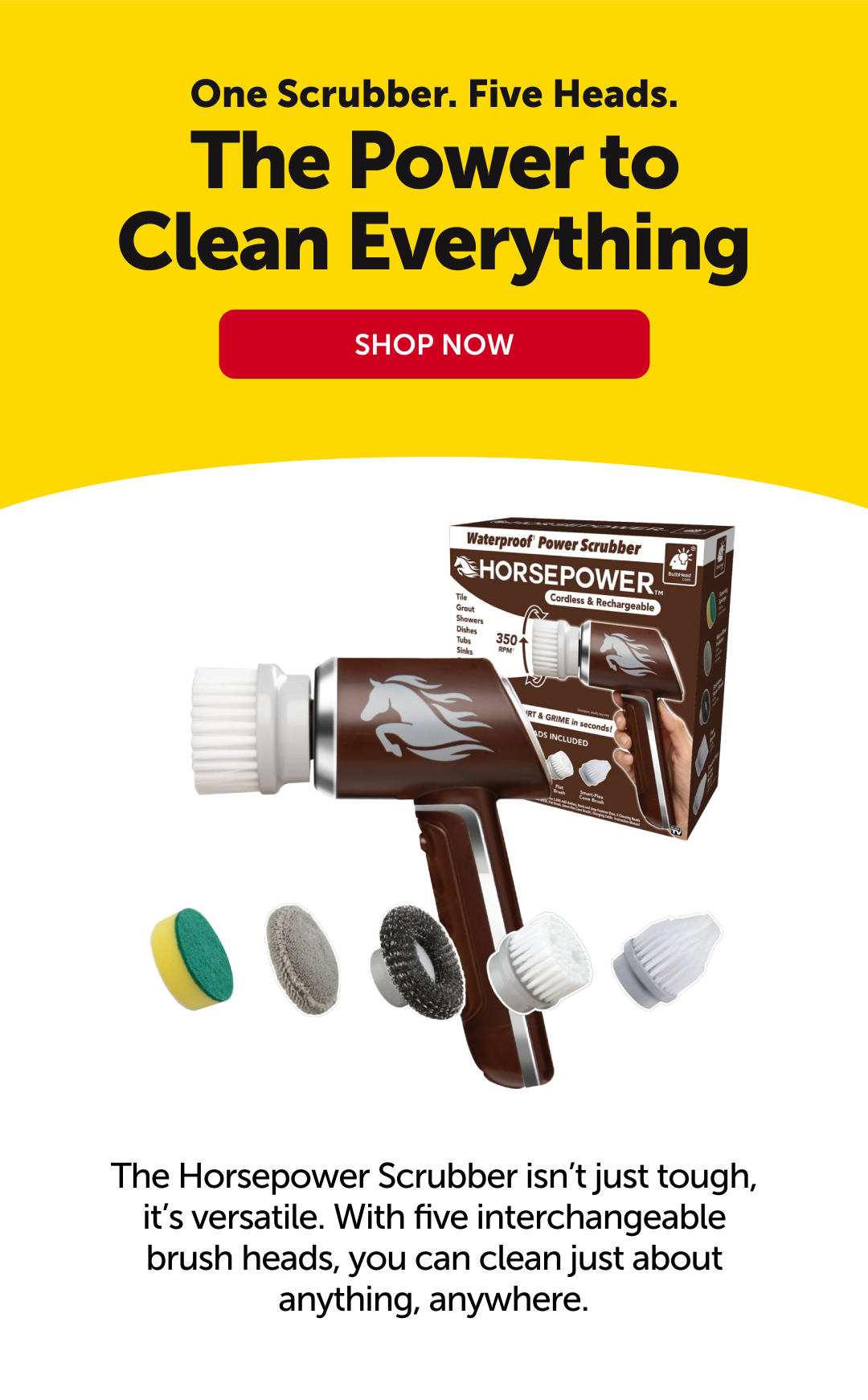 SHOP NOW