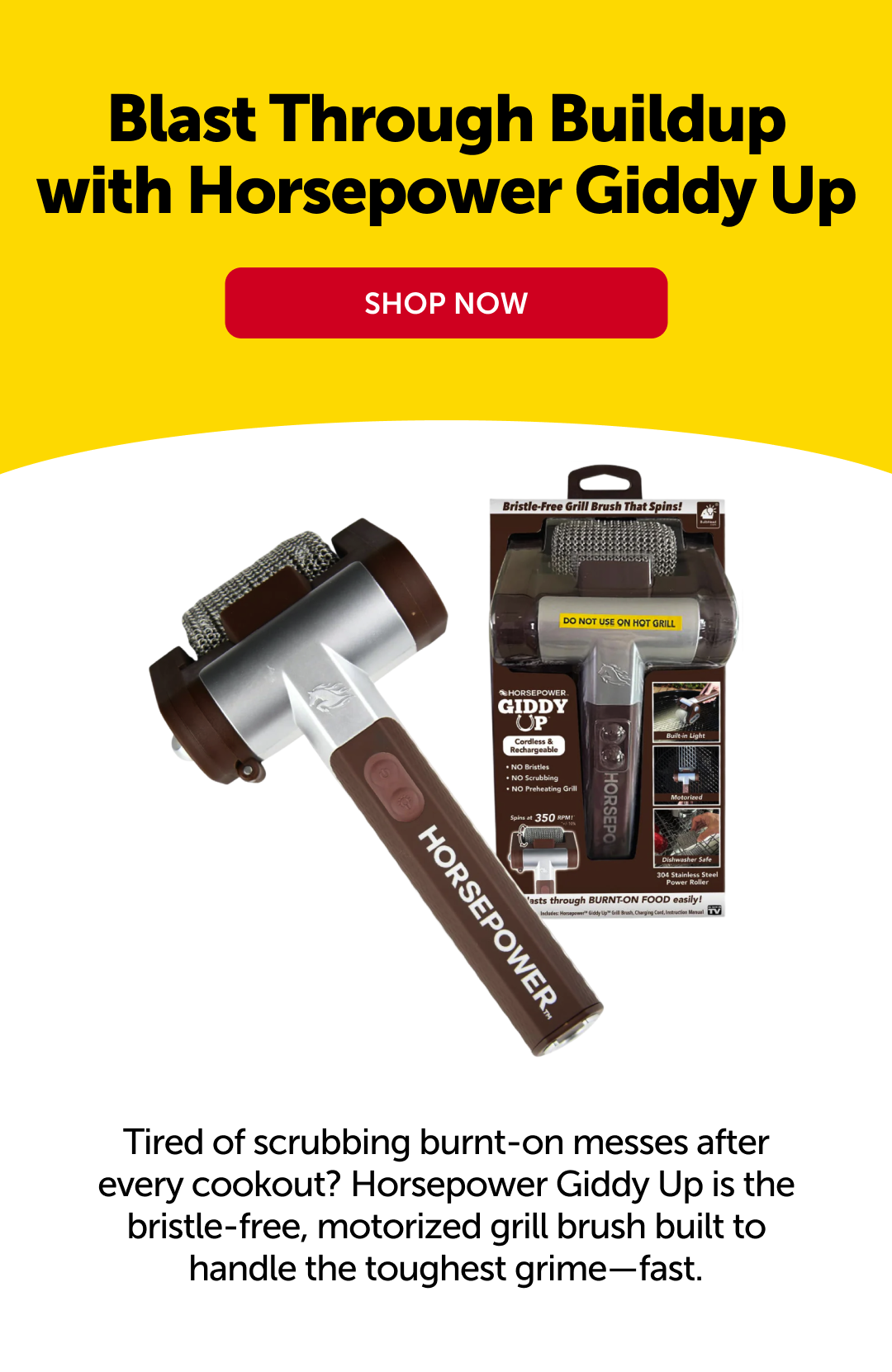 SHOP NOW
