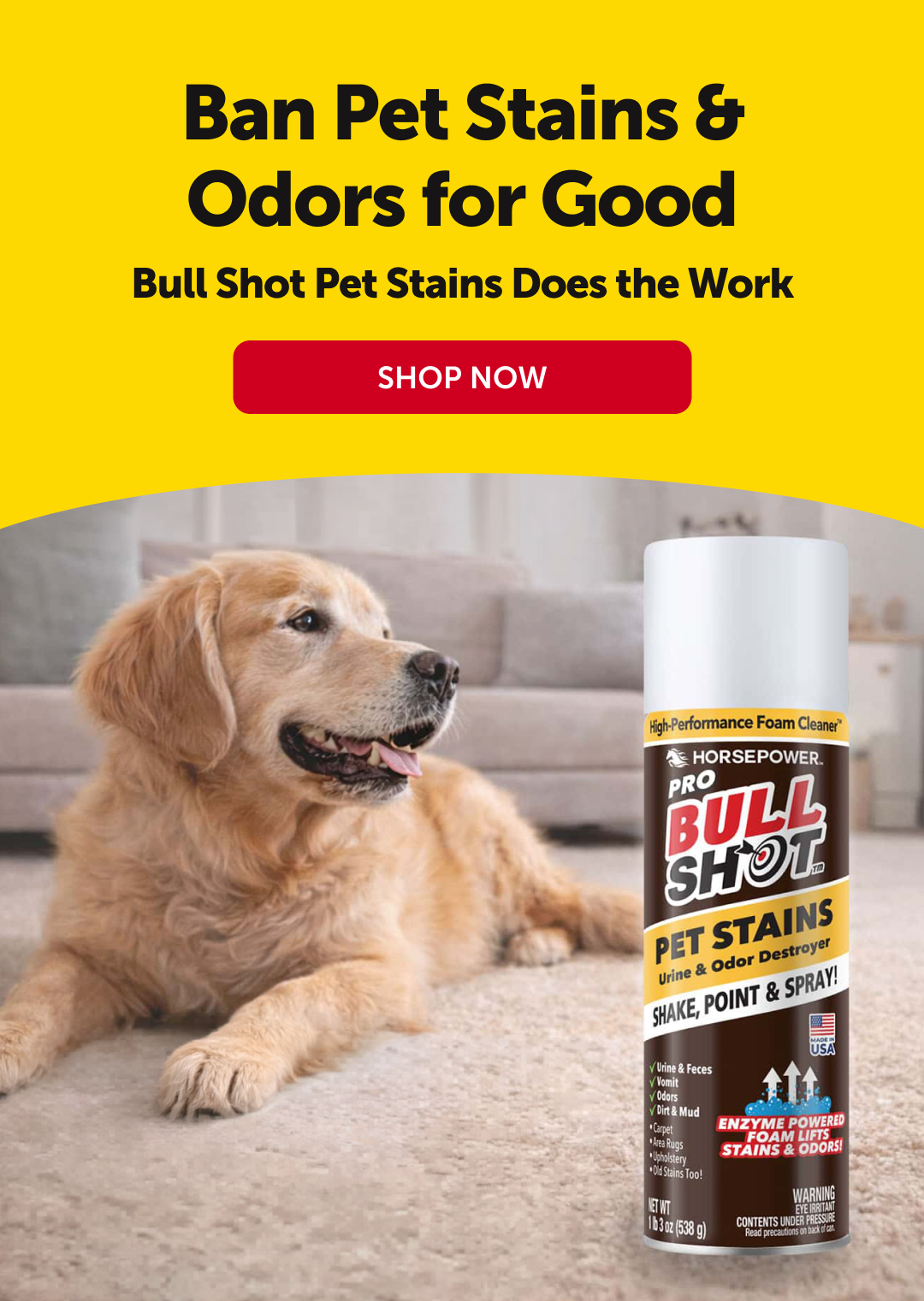 SHOP NOW