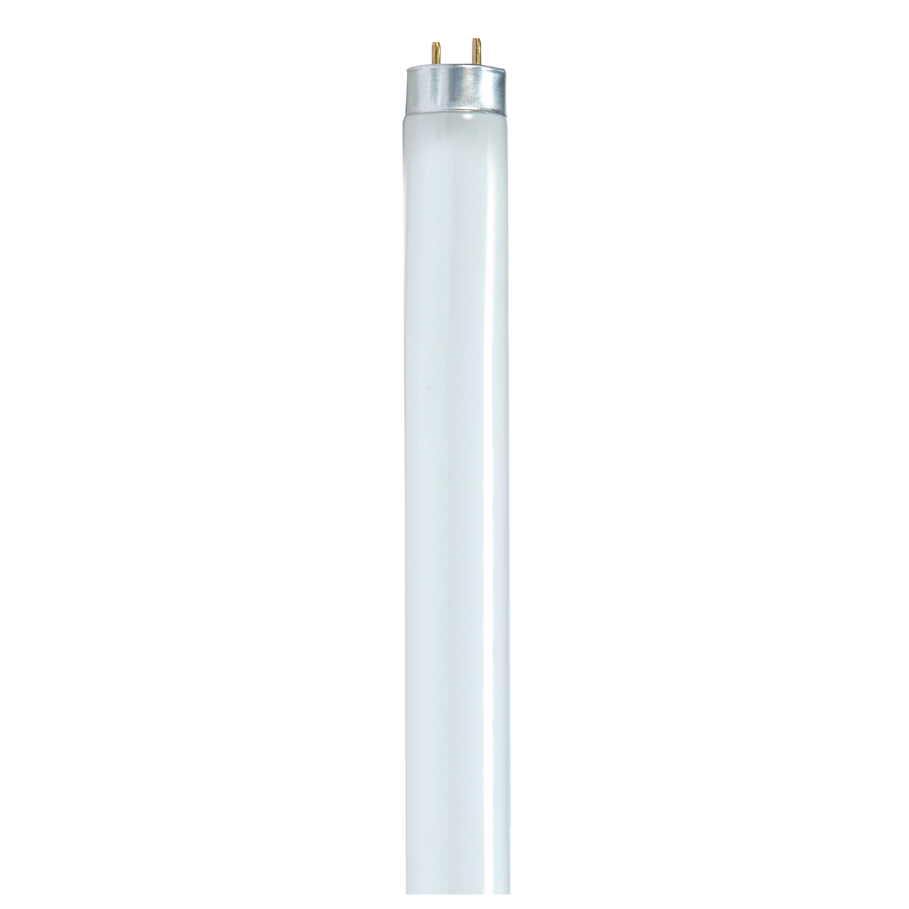 Image of Satco S8420 32 Watt - T8 - Fluorescent - 4100K Cool White - 85 CRI - Medium Bi Pin base