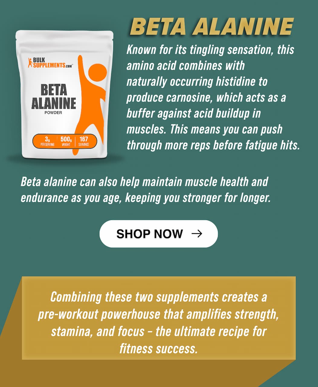 Beta Alanine bag