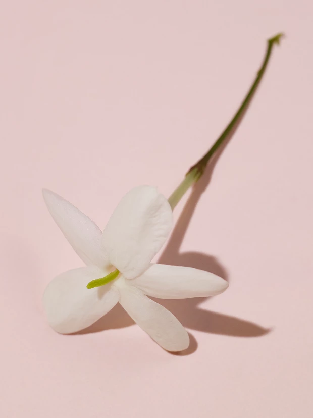 Product_01a