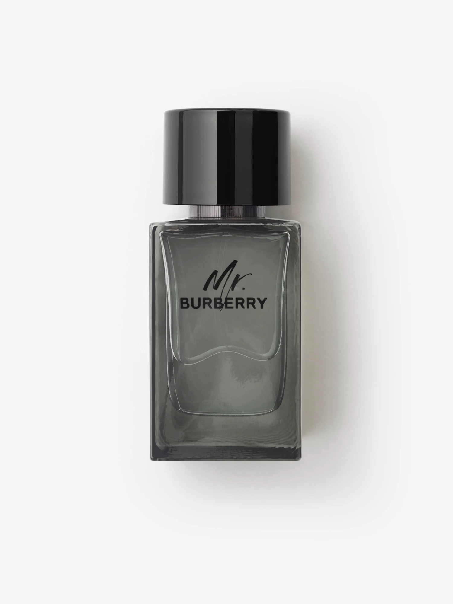 Mr. Burberry Eau de Toilette 100ml