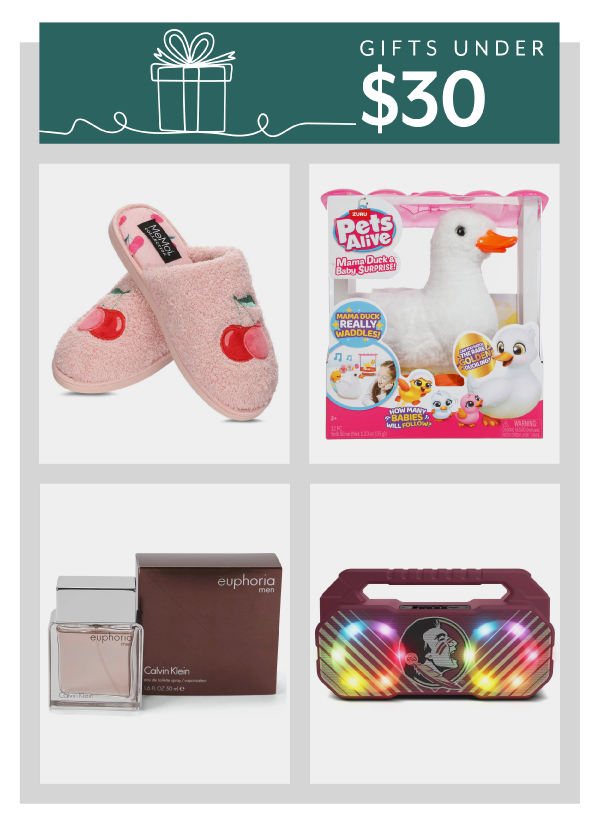 Gifts under $30