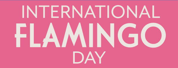 International Flamingo Day