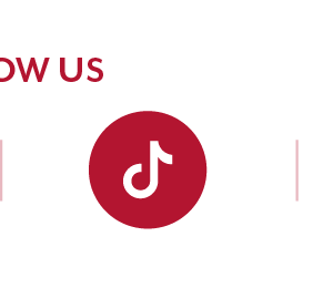 "TikTok"