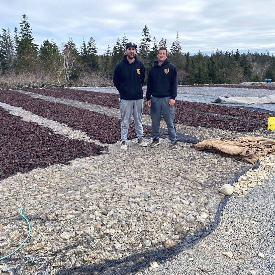 Colton & Duncan, Purple Dulse Partner Farmers