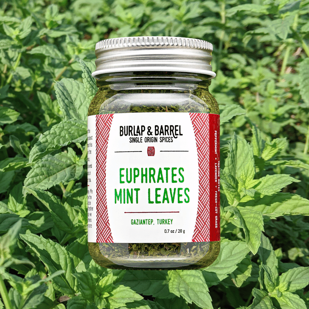 Euphrates Mint Leaves