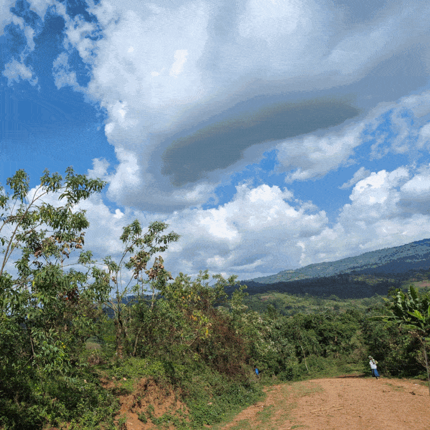 Berbere Origin Blend Sourcing Photos