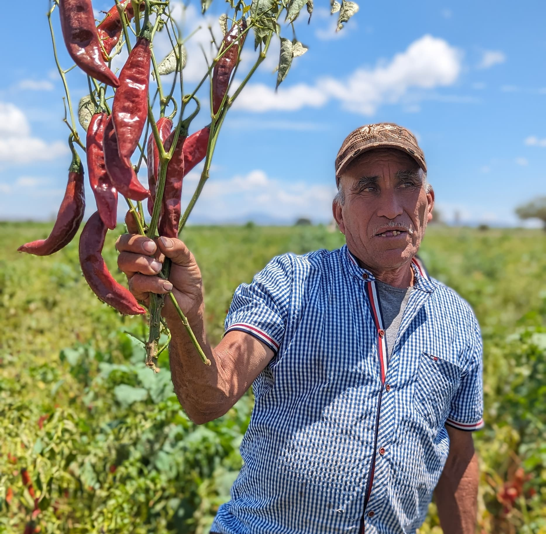 Partner Farmer Don Jesús