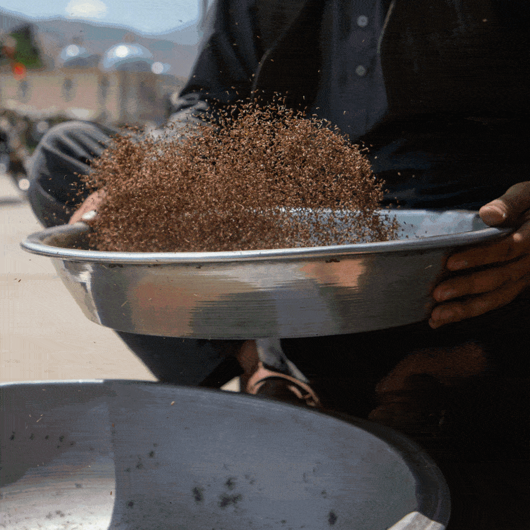 Partner Farmers from Around the World