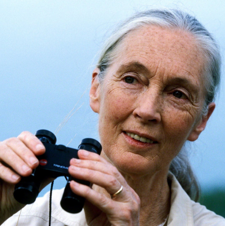 Dr. Jane Goodall at dinner in Kigoma