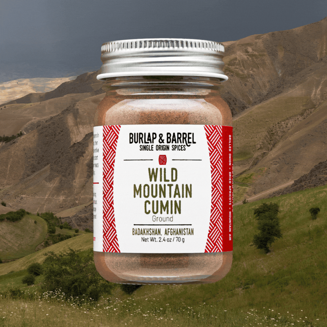 Ground Wild Mountain Cumin