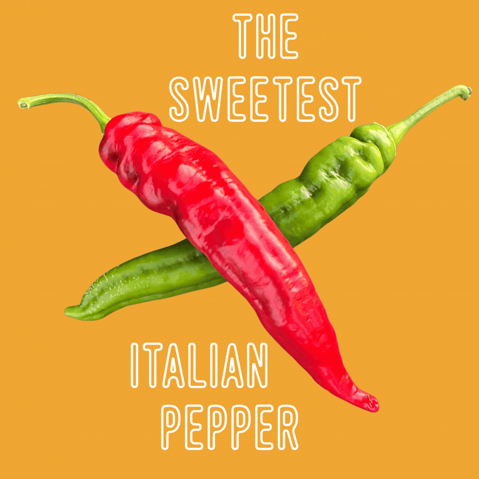 Sweetest Italian Pepper AKA Gemelli Mazinna