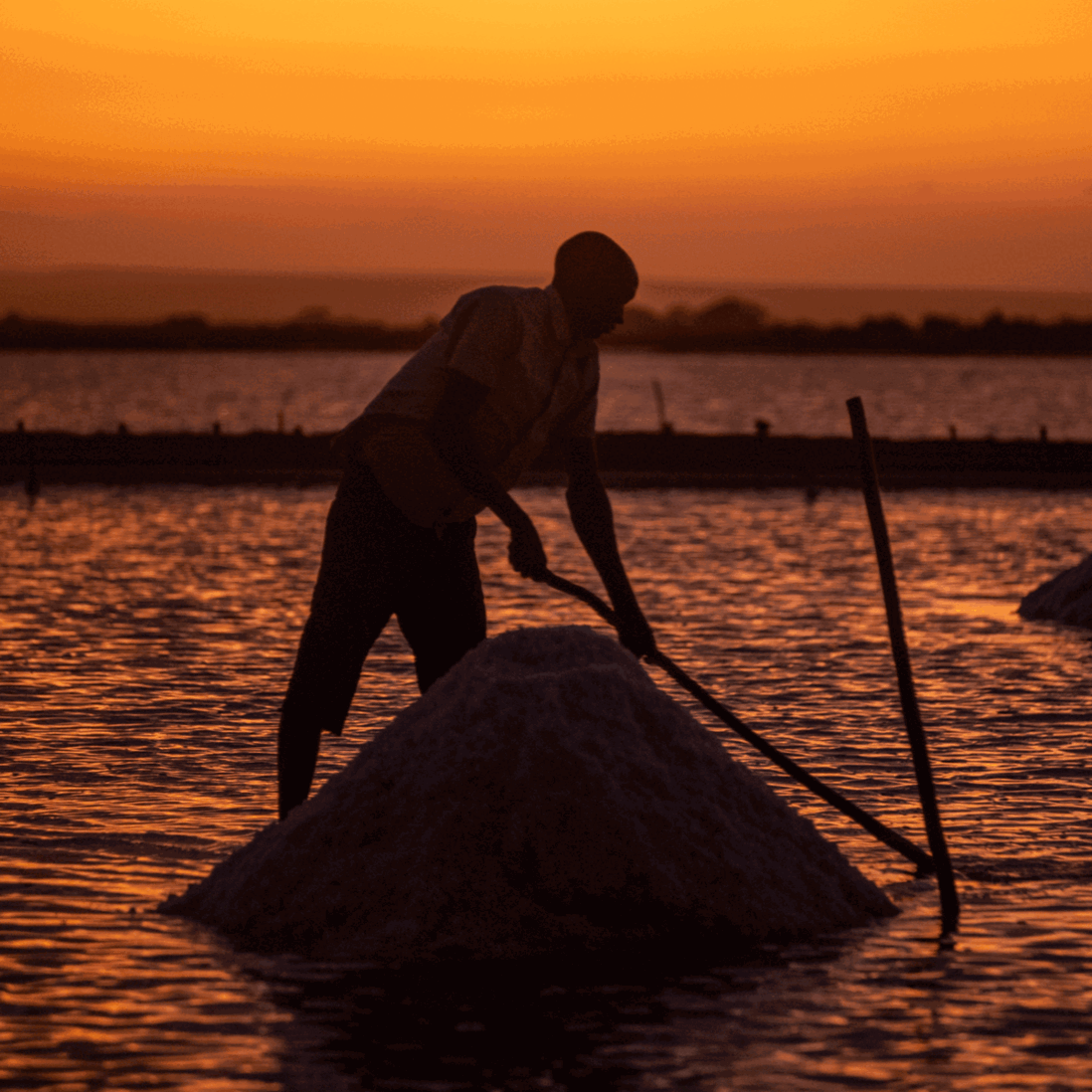 The Making of Wind-Blown Sea Salt from Burlap & Barrel