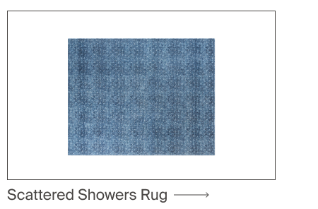 Scattered Showers Rug
