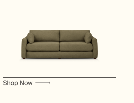 Span Sleeper Sofa
