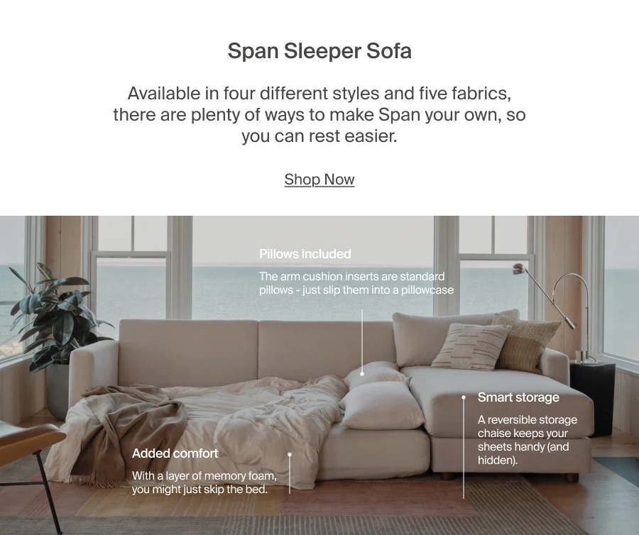 Span Sleeper Sofa