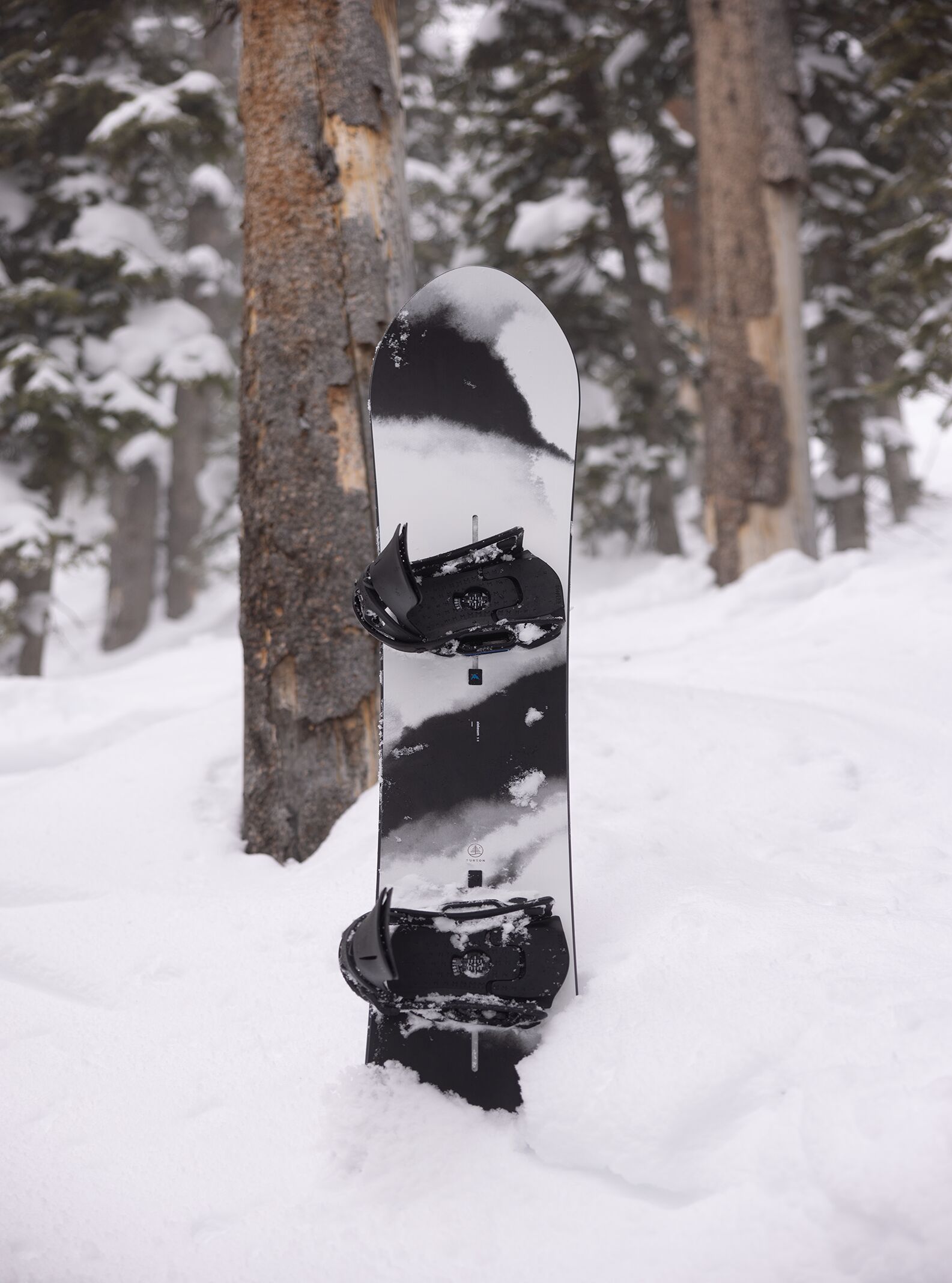 The Burton Family Tree Alekesam Camber Snowboard in the snow with trees in the background