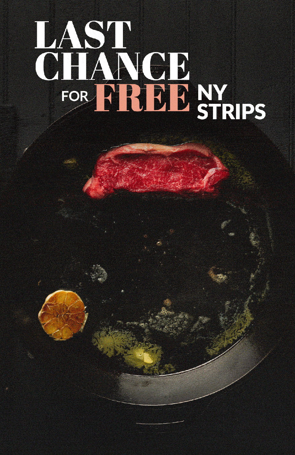 Last chance for free ny strips