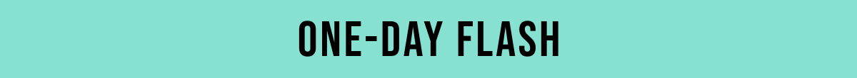 ONE DAY FLASH