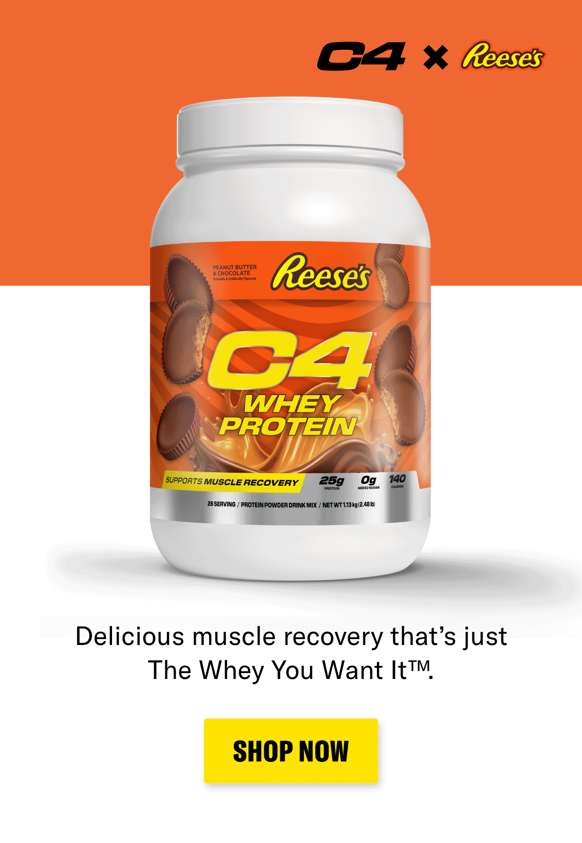 SHOP NOW