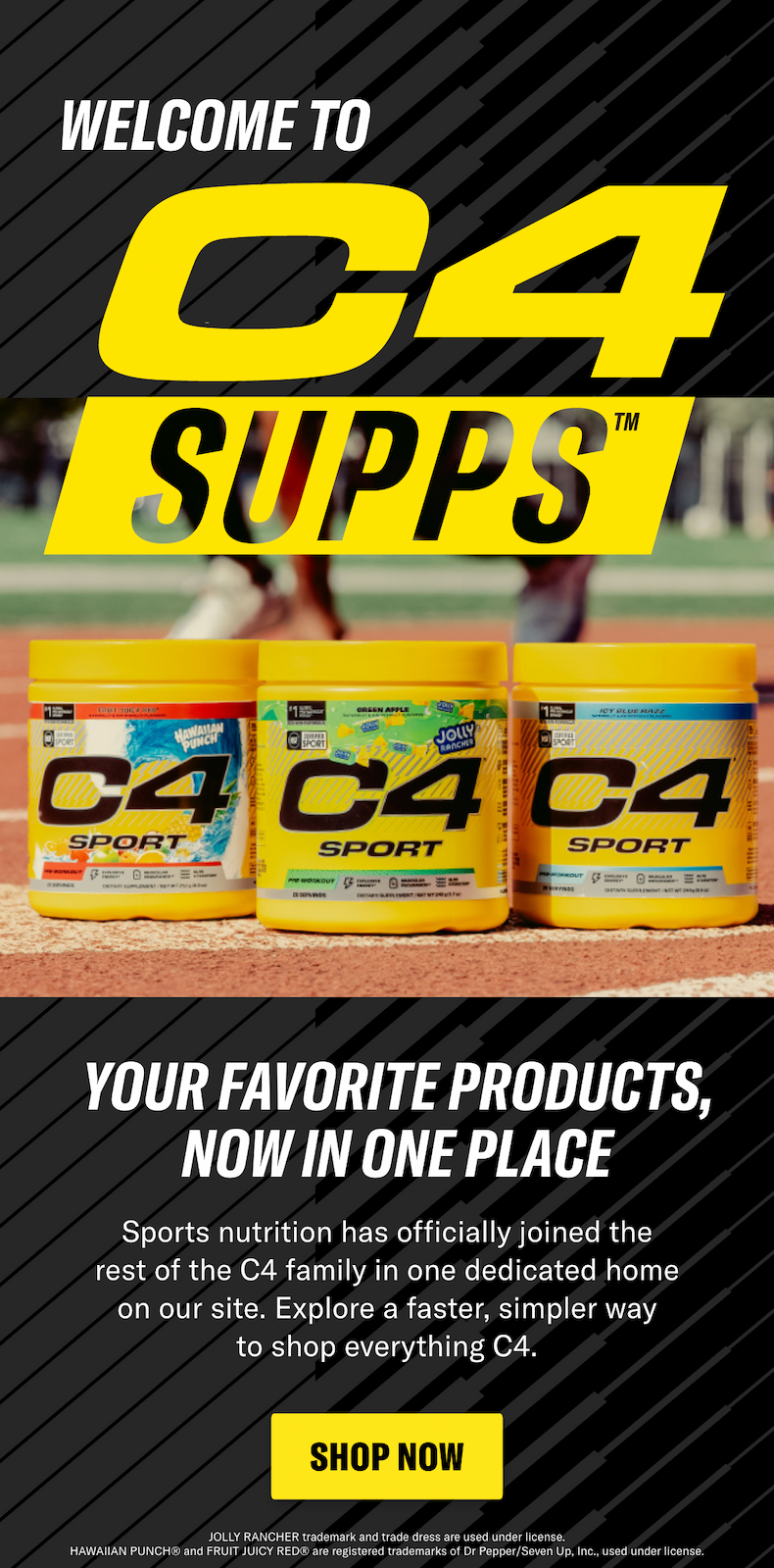 SHOP NOW
