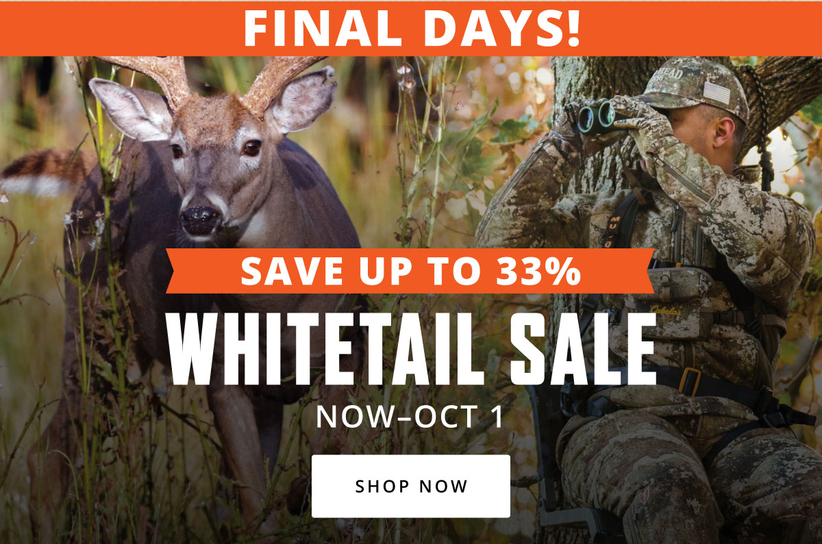  Oct 1 Last Chance Picks For The Family
