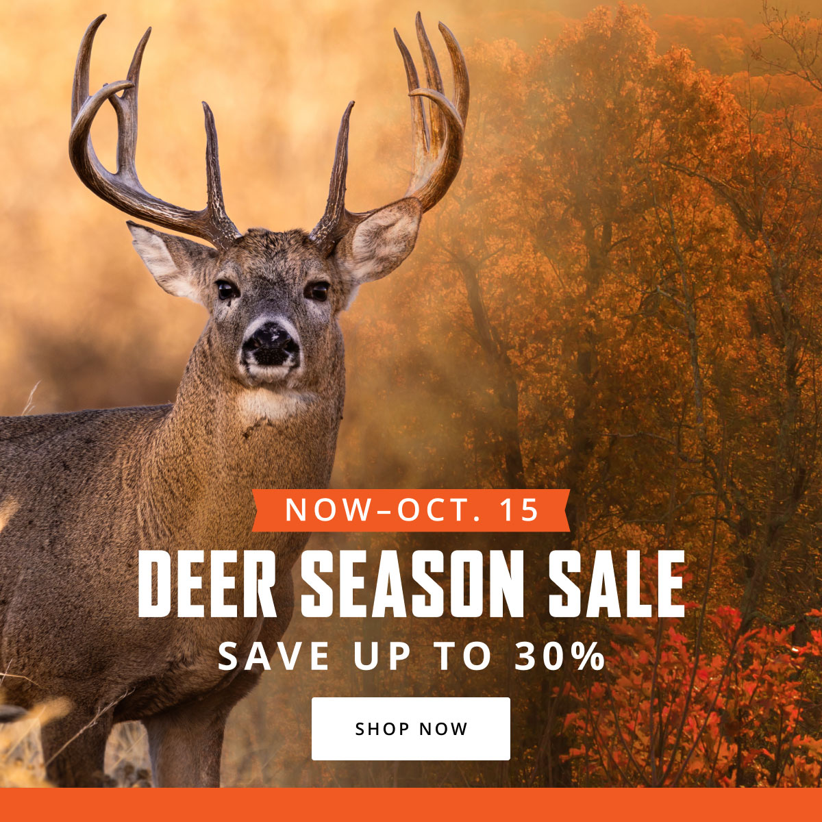 Deer Hunting Temp Event