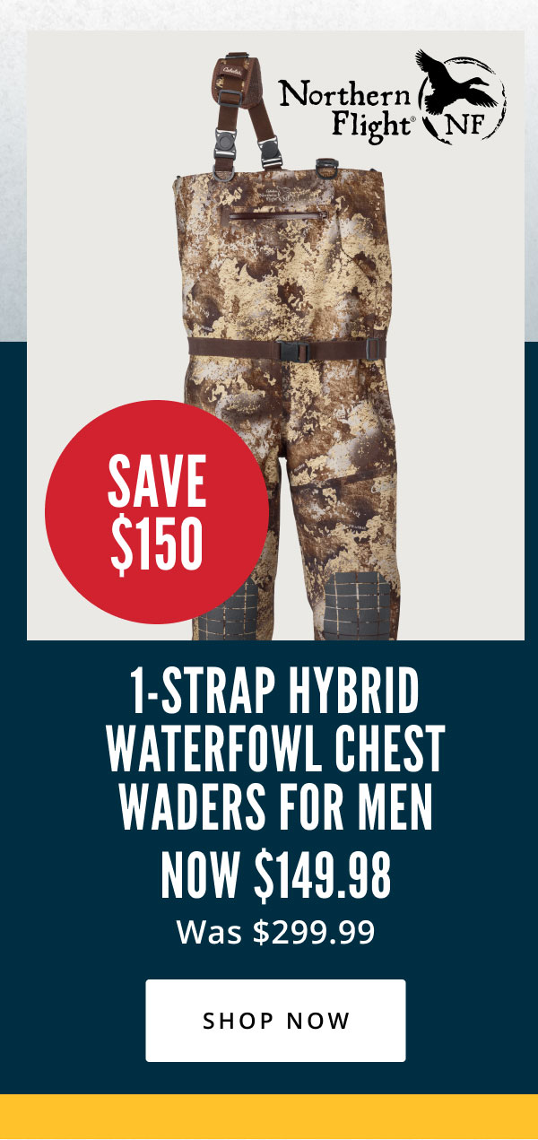 Hot Buys