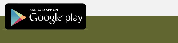 Google Download