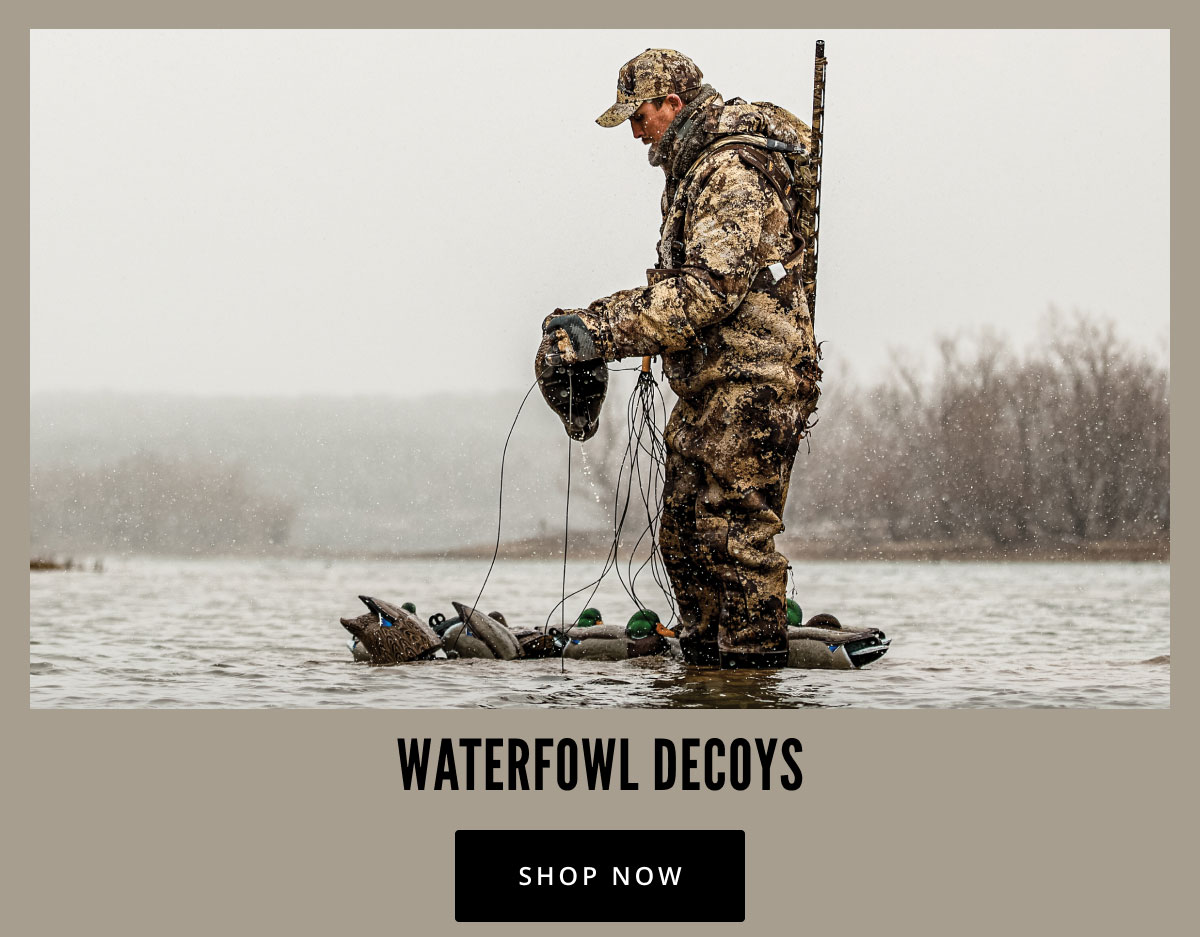 Waterfowl Migration 