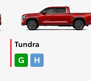 Tundra