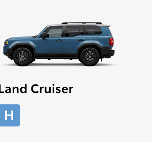 Land Cruiser