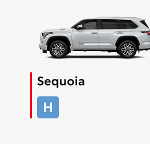 Sequoia