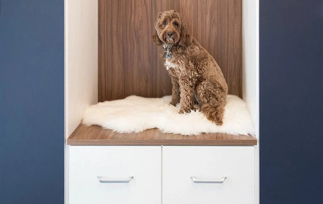Photo of a dog sitting on top of a bench with storage drawers with dropped pulls