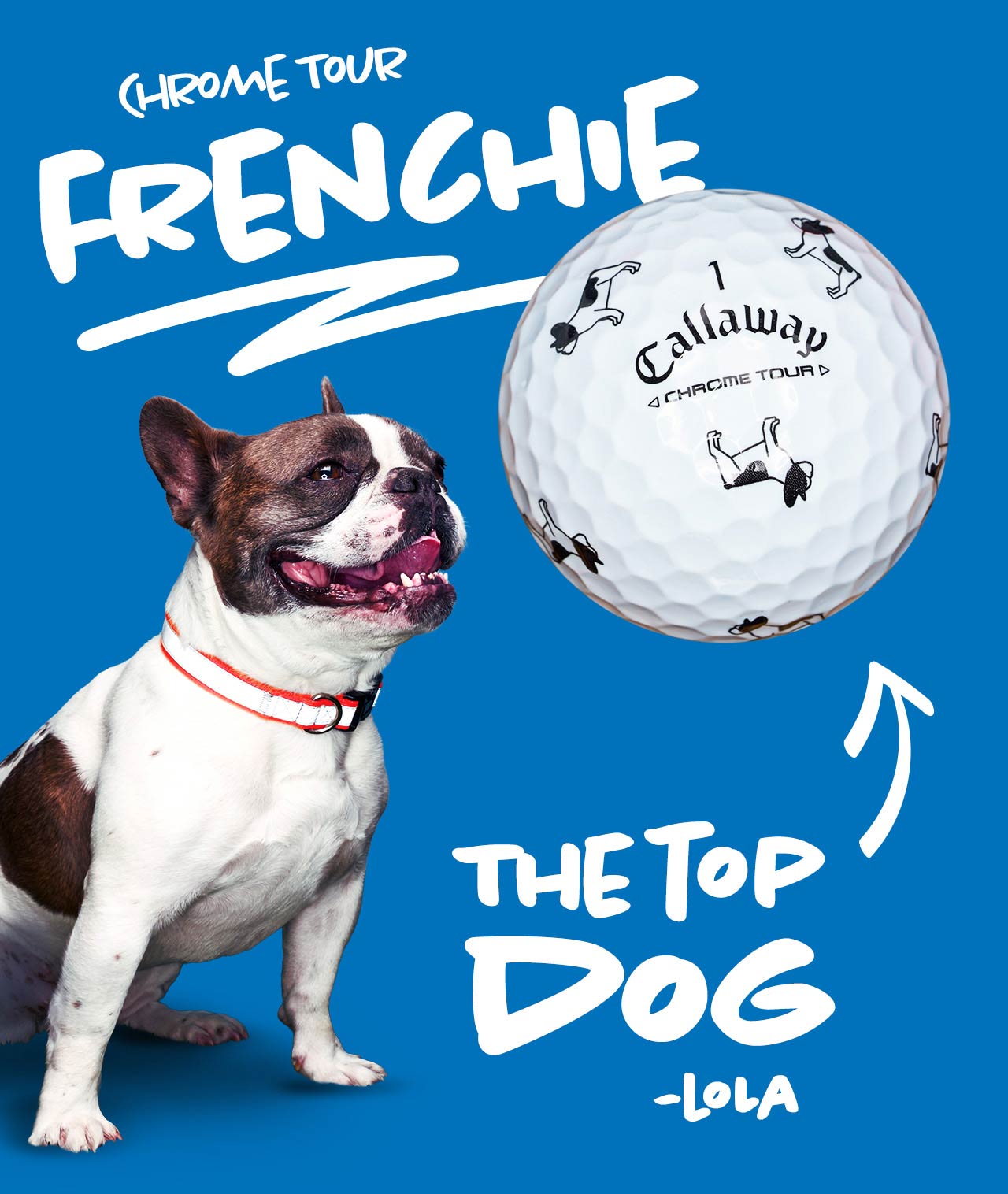 Chrome Tour Small Dogs Frenchie Ball