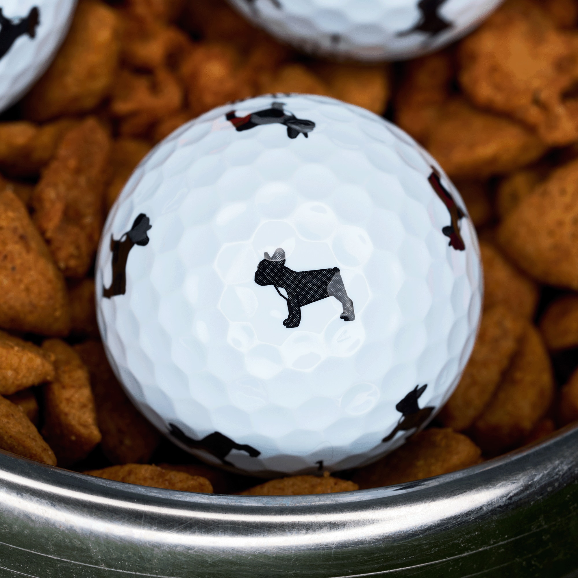 Chrome Tour Small Dogs: Black French Bulldog