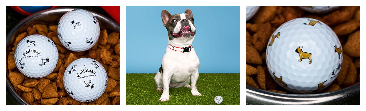 Chrome Tour Small Dogs: Frenchie