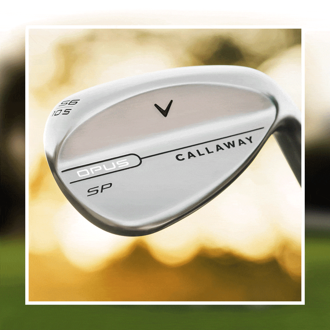 Opus SP Wedges