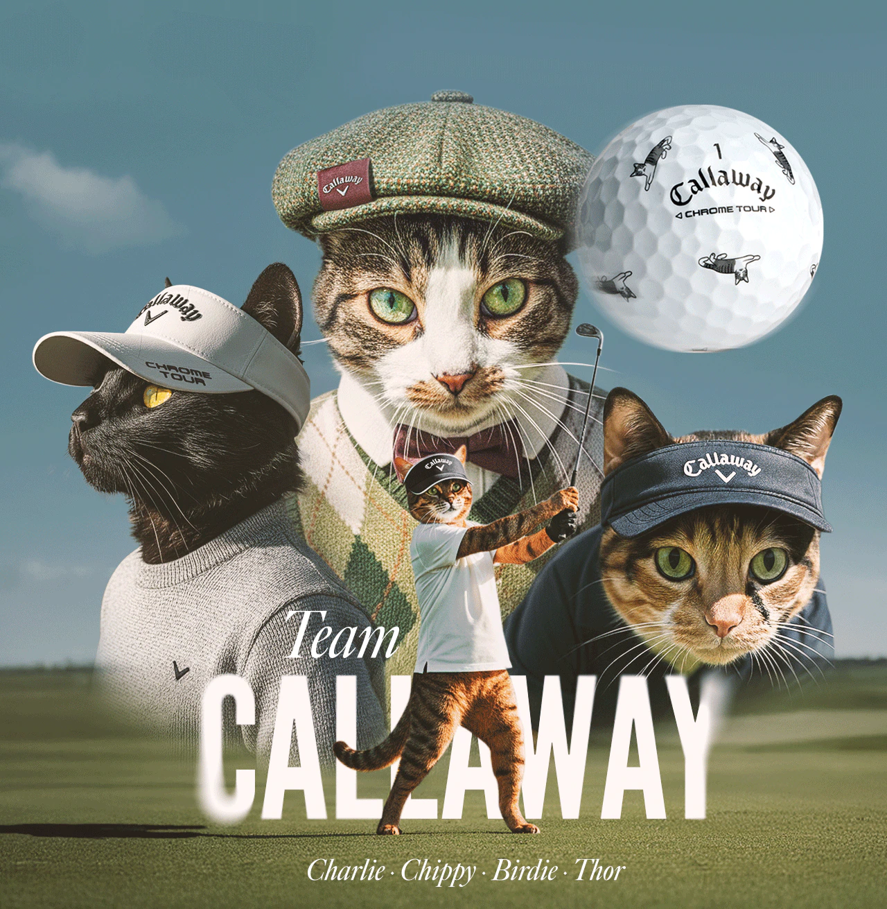 Chrome Tour Cats