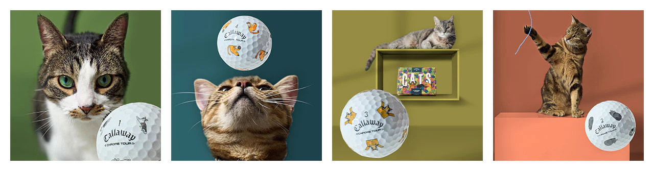 Chrome Tour Cats