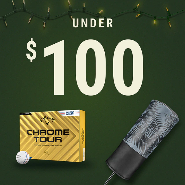 Gifts Under $100