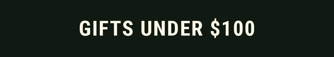 GIFTS UNDER $100