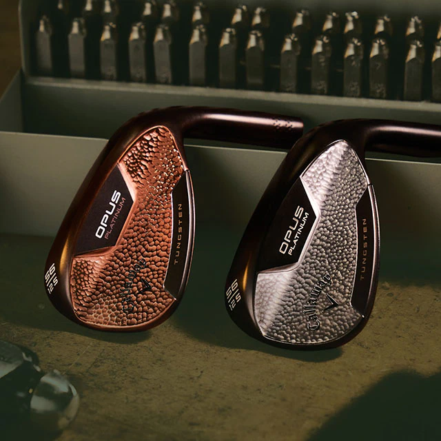 Opus Platinum Craftsman Wedges: $80 Off