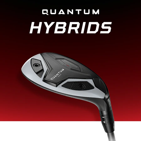 Quantum Hybrids