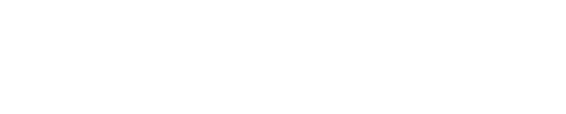 Quantum Max Logo