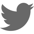 Twitter Icon