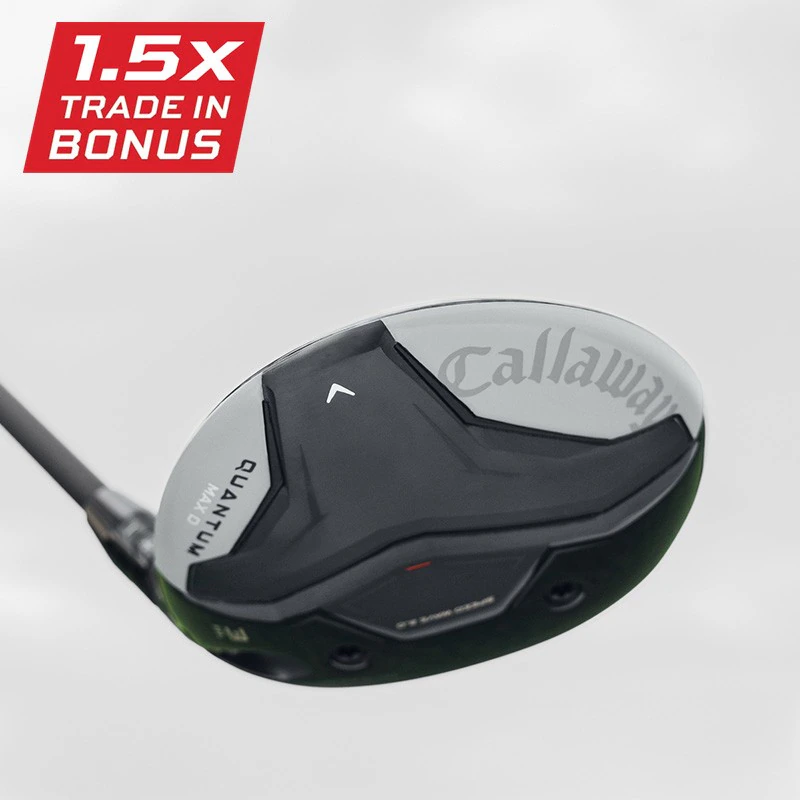 Quantum Max D
