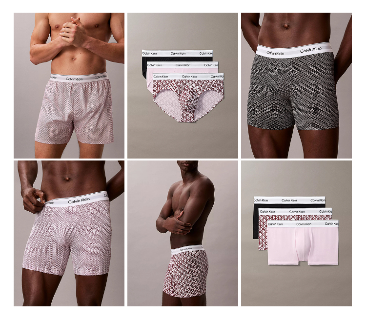 Ck Model